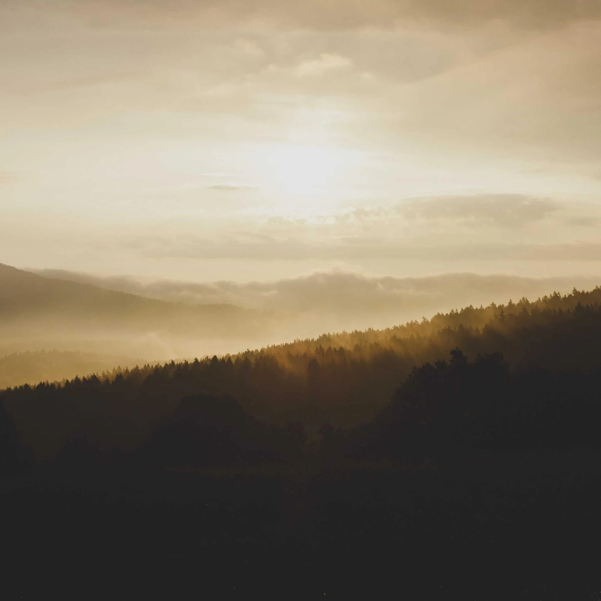 Collines dans la brume du soir