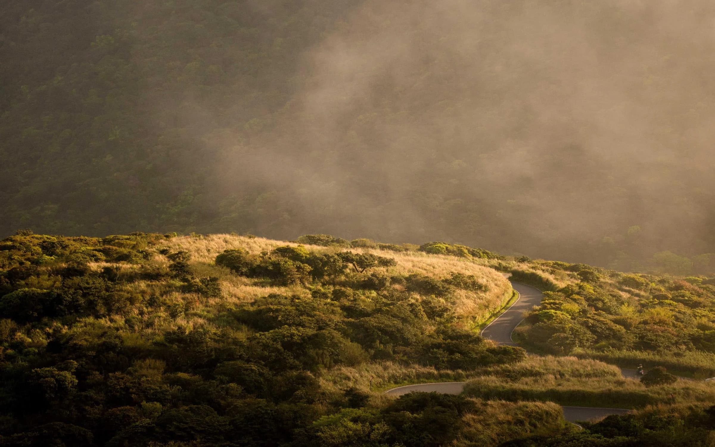 Colline d’herbes sèches dans une lumière dorée